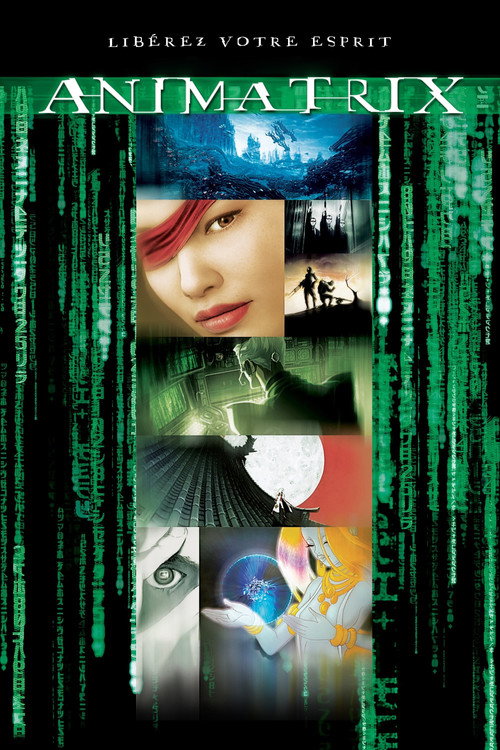 Affiche de Animatrix