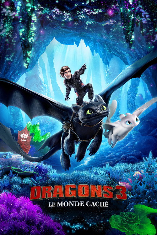 Affiche de Dragons 3 : Le monde caché