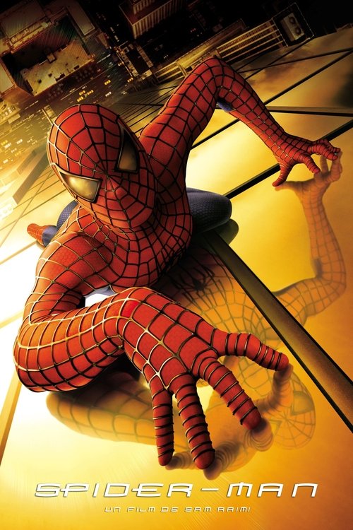 Affiche de Spider-Man